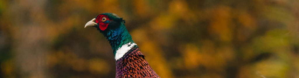 Your Ultimate Blog for Trending Topics, Insights, Tips, and Updates – Play – Post 1