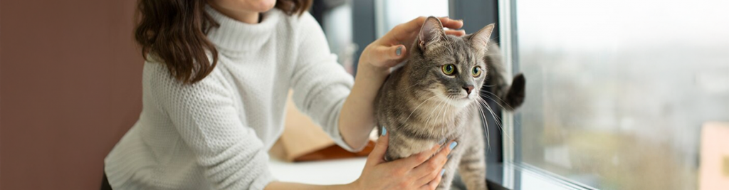 Your Ultimate Blog for Trending Topics, Insights, Tips, and Updates – featured-video-1