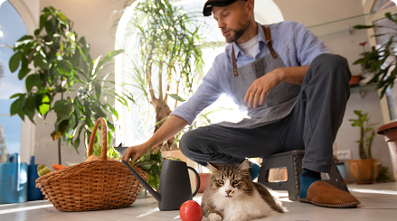 Heartwarming Stories and Pet Adventures