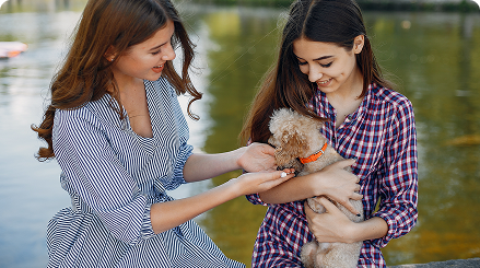 Bringing Families Together Through Pets