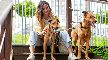 Traditional Pet Care with a Modern Approach