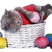 Demo Product 6 - Cat Basket Toy