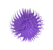 Demo Product 4 - Spikey Balls