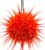 Demo Product 5 - Spikey Balls