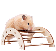 Demo Product 4 - Mouse Toy