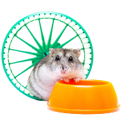 Demo Product 8 - Mouse Toy